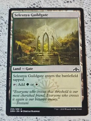 Selesnya Guildgate 255/259 Common 2018 Magic the Gathering MTG - Image 1 of 2