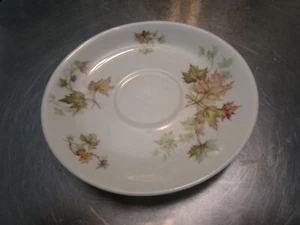 Vintage Haviland "Autumn Leaf" Saucer (~5.5") - Schleiger 60 - Picture 1 of 3