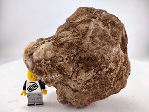 Geoda Nódulo 3.75" Sin Abrir Todo Kentucky Cuarzo Cristal 1.5LB Compra 1 Obtén 1 Gratis - Imagen 1 de 8