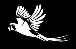 Calcomanía de vinilo para volar loro pájaro periquito diversión camión coche ventana pegatina exterior - Imagen 1 de 1