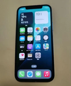 Apple iPhone 12 Junk - Afbeelding 1 van 4