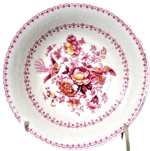 PHOENIX TC1088 by Royal Doulton Fruit Saucer 5.25" diameter NEW made in England - Picture 1 of 5
