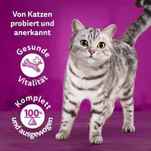 Whiskas 1+ Katzenfutter Tasty Mix Chef´s Choice in Sauce, 40x85g (1 Packung) – - Bild 1 von 9