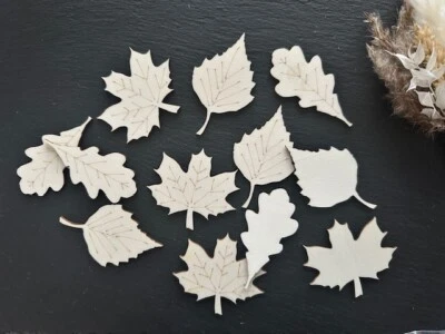#17 Blatt Mix 12 Holz Deko Birke Ahorn Eiche Herbst Bastelmaterial Bastelholz - Bild 1 von 3