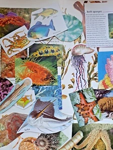 Under The Sea Paper Pack 25/50/100 Pieces Scrapbook Fussy Cuts Ocean Crafts - Picture 1 of 12
