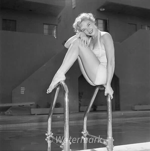 FOTO PUBLICITARIA 16x20 de colección celebridades actriz de Broadway Anne Francis - Imagen 1 de 1