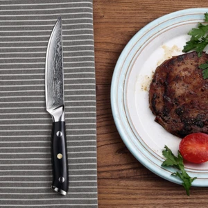Sunnecko 5 inch Steak Knife Meat Cutlery Damascus Steel Table Dinner Knife