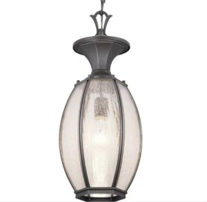 Progress Lighting River Place 1-Light Antique Bronze Glass Hanging Lantern Light - Picture 1 of 3