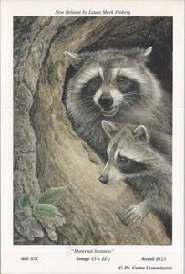 Postal de laura Mark Finberg arte mapache PA Comisión de juegos 4x6 UNP - Imagen 1 de 2