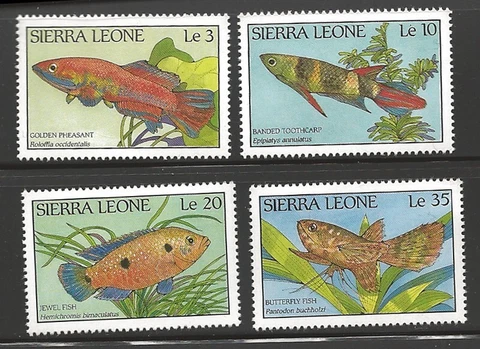Siera Leone Scott #959-62 MNH Stamp Set - Marine Life Tropical Colorful Fish Cover