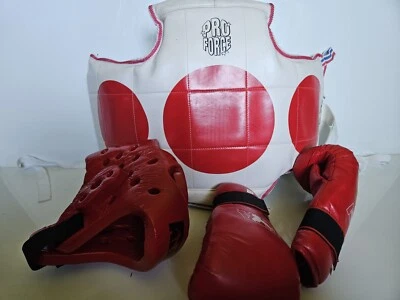 Equipo de combate de taekwando juvenil - casco, guantes y cuerpo Foto 1 de 4