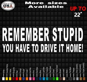 Remember Stupid Off Roading Decal Stickers Side By Side Honda Polaris Yamaha  - Bild 1 von 2
