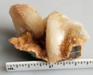 Stilbit Kristalle auf rosa Heulandit Miniatur Nova Scotia Mineral Präparat - Bild 1 von 2
