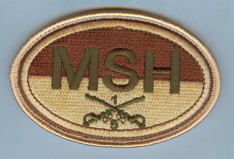 US ARMY:  5th SQUADRON / 1st CAVALRY (MSH) .... DESERT COLOR PATCH ... MINT - Image 1 of 1