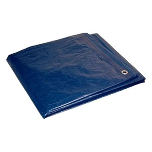 Manufacturer Varies Tarp,Blue,10 ft L,8 ft W 80810 Manufacturer Varies 80810 - Imagen 1 de 1