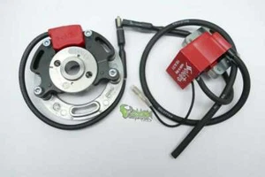 Selettra KZ Zündung complete analog System for Rieju DRAC 50 (199-1997) Backp... - Picture 1 of 1