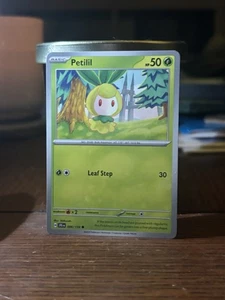 Petilil 006/086 Sv: Black Bolt Holo - Picture 1 of 1