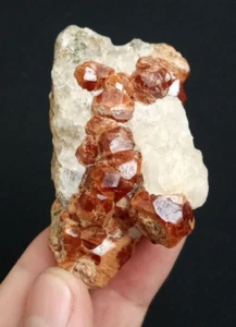 Garnet with Quartz from Afghanistan. - Picture 1 of 7