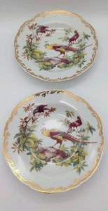 Rutherford's Birds 8.5” Gold Scroll Floral Rimmed Soup Salad Bowl~Set Of 2 - Picture 1 of 7
