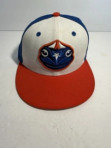 Florida Fire Frösche New ERA 59 Fifty MiLB Corquis De Hat Copa De Diversion 6 7/8 - Bild 1 von 16