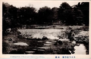 Postcard Tokyo Japan c1910 Botanic Gardens of the Imperial University of Tokyo - Picture 1 of 2