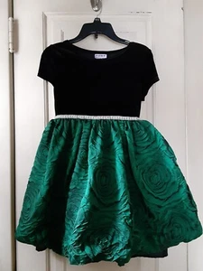 Blueberi Boulevard Girls Short Sleeve Special Occasion  Dress Size 10 - Picture 1 of 2