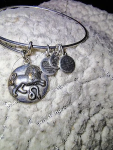 Alex & Ani Leo Zodiac Bangle Rafaelian Silver Expandable Bracelet Astrology 2017 - Picture 1 of 5