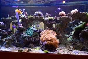 Aquarium komplett Set mit Unterschrank wegen Umzug zu verkaufen - Bild 1 von 2