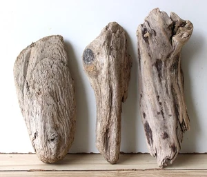 Madera flotante Driftwood 3 maderas nudosas terrario 27-32 cm *189* - Imagen 1 de 13