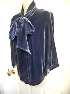 Soft Surroundings M NWT Blouse Blue Velvet w/ Detachable Scarf Button Down ARTSY - Picture 1 of 8