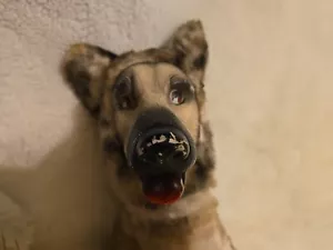Rare HTF Vintage Rushton? Dog Plush Rubber Face Shepherd Fast Shipping - Picture 1 of 11