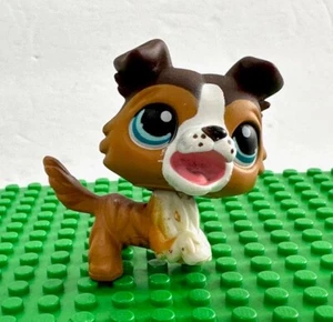 LPS Littlest Pet Shop Brown Collie Dog open mouth HASBRO 2007 - Picture 1 of 13