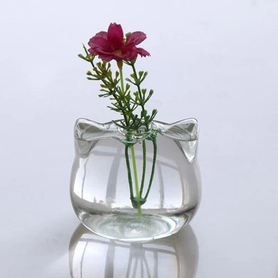 Lindo florero de vidrio transparente con forma de gato para plantas Foto 1 de 4