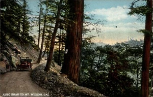 VTG Auto Road to Mount Wilson California Postcard 1947 Post Marked Trees Car - Imagen 1 de 2