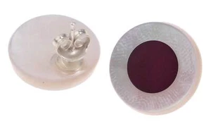 Abalone Muschel Cabochon Cut,Flat Round White with design 17mm with Ear Studs Si - Picture 1 of 1