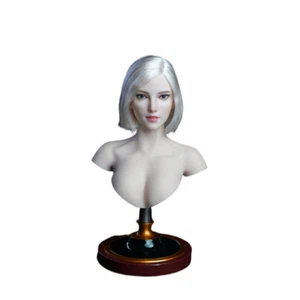SUPER DUCK 1:6 SDH018A Head Sculpt Carved For 12'' Female Phicen TBL Figure Body - Picture 1 of 8