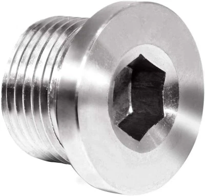 Stainless Steel Countersunk End Plug Internal Hex Head Socket Pipe M18*1.5 - Image 1 of 4