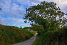 Photo 6X4 Horwood : Country Lane A Small Lane Heads Through The Countrysi C2021