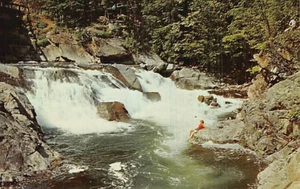 Postcard TN: The Sinks on Little River, Great Smoky Mountains NP, Tennessee 1955 - Picture 1 of 2
