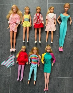 Barbie Sammlung Pink N Pretty Skipper Fashion Fun 80er Puppen - Picture 1 of 24