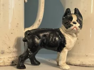 Small Cast Iron Boston Terrier Dog Piggy Bank Black & White 5" x 4 1/2" - Picture 1 of 22