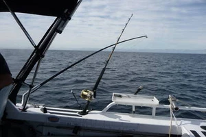 outriggers 2pce 11 ft carbon Graphite poles and spline Bases - Picture 1 of 10