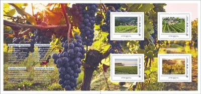France - Travelogue - New Aquitaine - Vineyard Country - Collector 4 stamps - Image 1 of 2