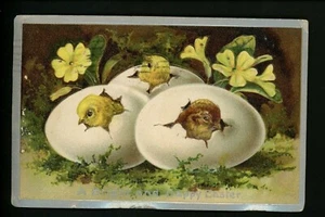 Oster Postkarte Küken brechen aus Ei Davidson Bros. #44 Vintage 1911 - Bild 1 von 2
