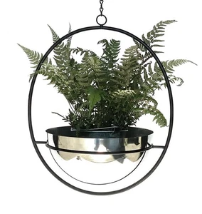 Blumenampel Innen Metall Wand Hängepflanzen 43 - 78 cm 96087 mit Topf Silber - Bild 1 von 24