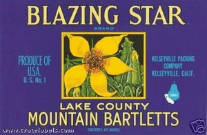 *Original* BLAZING STAR Flower Lake County Ca Mountain Pear Label NOT A COPY! - Picture 1 of 1