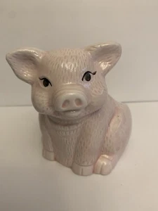 Pig Holder Or Succulent Planter - Picture 1 of 12