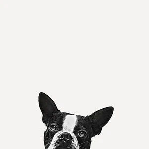 Loyallty by Jon Bertelli Dog, Print 12x12 - Picture 1 of 1