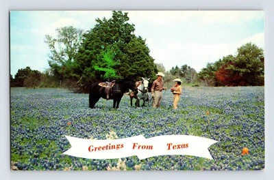 Postcard Texas Blue Bonnet Flower Cowboy Horse Field 1960s Unposted Chrome - Image 1 of 2