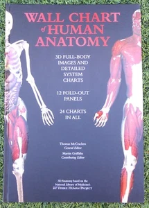 WALL CHART OF HUMAN ANATOMY: 3D FULL BODY IMAGES DETAIL Griffiths 2001 17.5"x12" - Picture 1 of 7